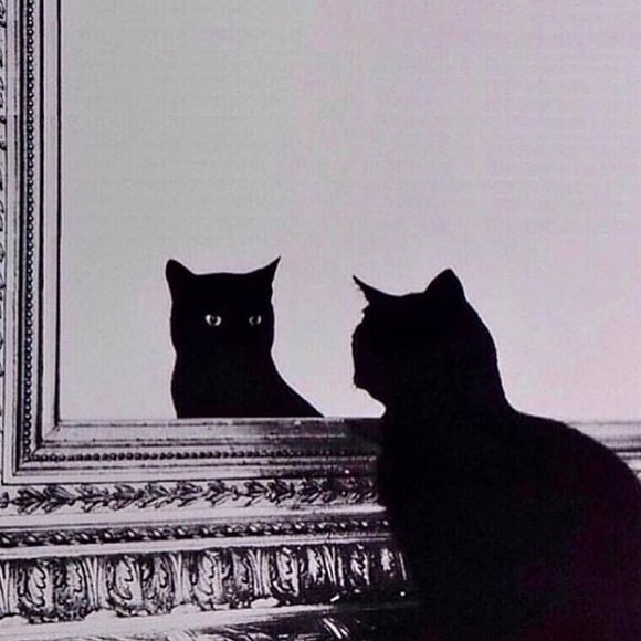 Meet your Posher, June - Picture 1 of 1